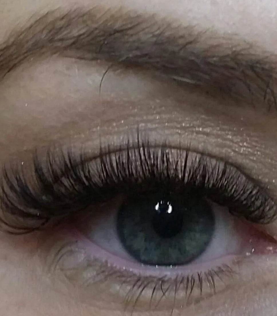 Angel Pre-Glued Cluster Lashes 👼 PRE-ORDER