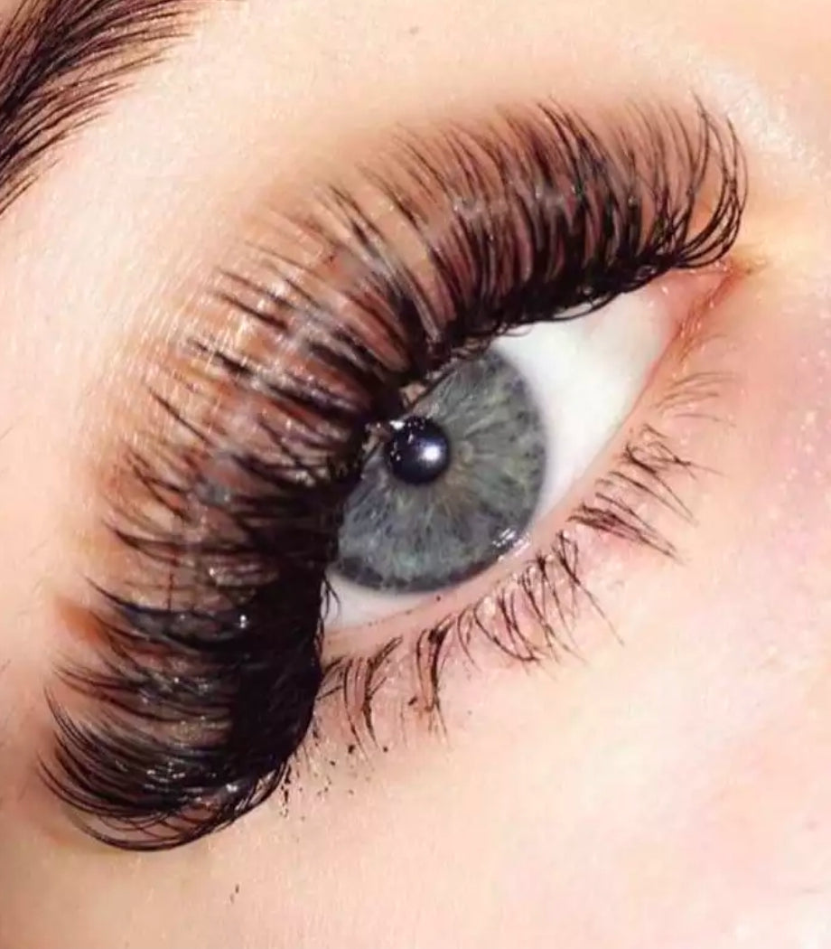 Bombshell Pre-Glued Cluster Lashes 🔥 PRE-ORDER