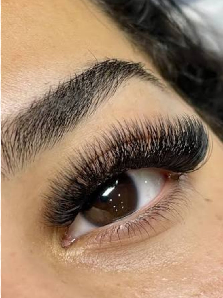 Bombshell Pre-Glued Cluster Lashes 🔥 PRE-ORDER