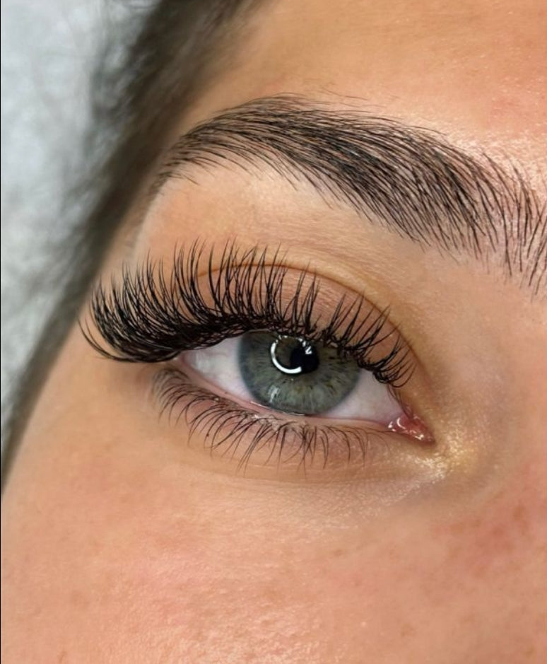 Angel Pre-Glued Cluster Lashes 👼 PRE-ORDER