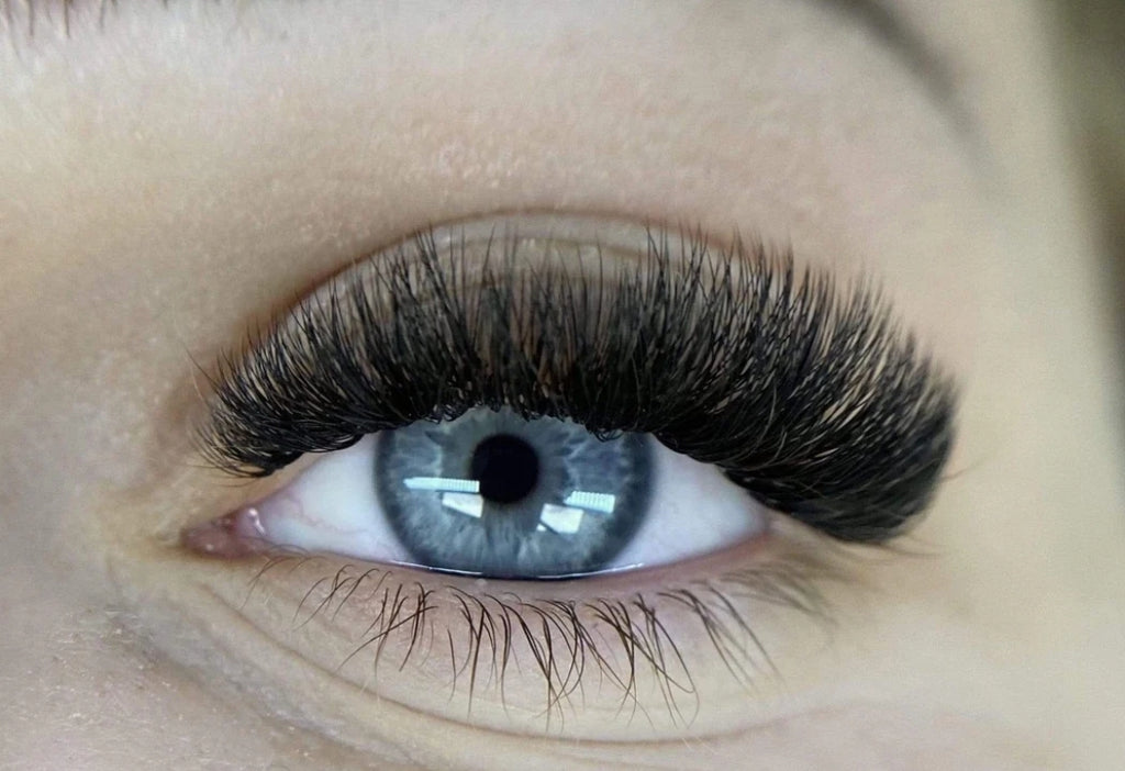 Bombshell Pre-Glued Cluster Lashes 🔥 PRE-ORDER